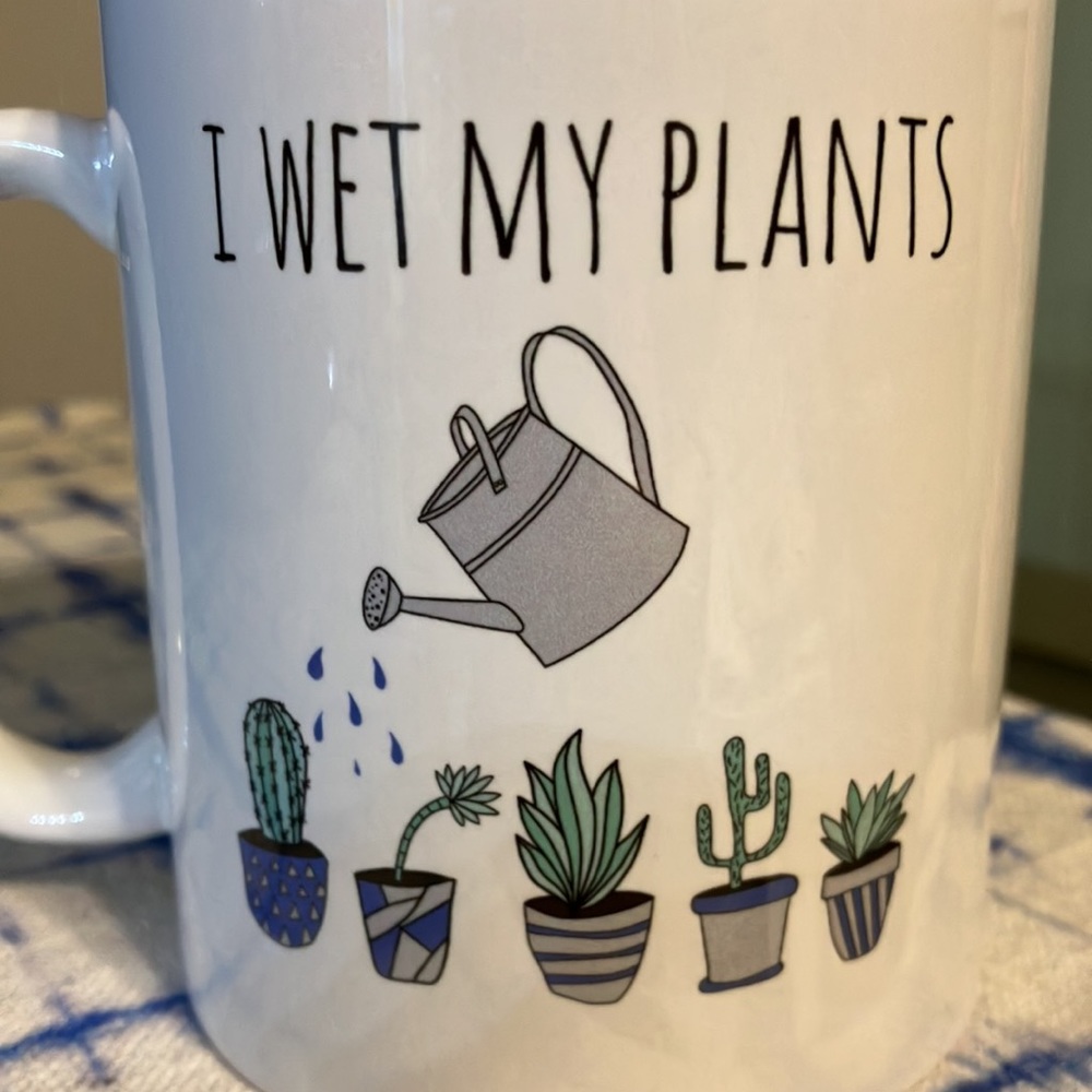🪴Fun Mug🌵 - Picture 2 of 3